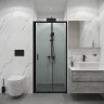 Душевая дверь Niagara Eco 90 NG-651-9AB