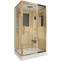 Душевая кабина Niagara Luxe 120x80 NG-7711GR