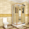 Душевая кабина Niagara Luxe 120x80 NG-7711GR