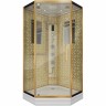 Душевая кабина Niagara Luxe NG-7717G 100x100
