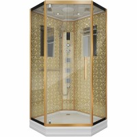 Душевая кабина Niagara Luxe NG-7717G 100x100