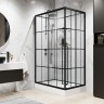 Душевая кабина Niagara Standart 100x80 L ST100/80/15QL/KL/BKT