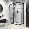 Душевая кабина Niagara Standart 100x80 L ST100/80/15QL/KL/BKT