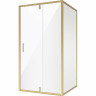 Душевой уголок Niagara Nova 110х90 NG-43-11AG-A90G
