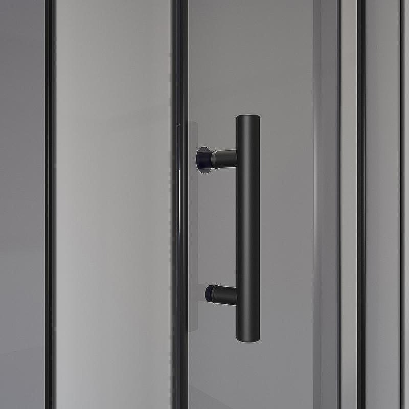 Душевой уголок Niagara Eco 100х100 NG-010-14DT