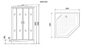 Душевая кабина Niagara Premium 100x100 NG-6002-01GD