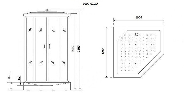 Душевая кабина Niagara Premium 100x100 NG-6002-01GD