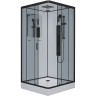 Душевая кабина Niagara Premium 90x90 NG-6901-01GQ Black