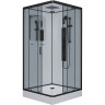 Душевая кабина Niagara Premium 100x100 NG-6902-01GQ Black