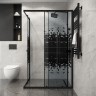 Душевой уголок Niagara Eco 100х80 NG-1018-14QBLACK