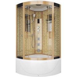 Душевая кабина Niagara Luxe NG-7710G 100x100