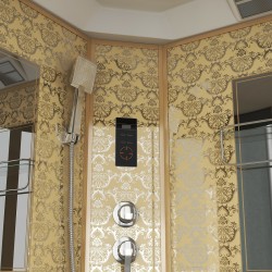 Душевая кабина Niagara Luxe NG-7710G 100x100