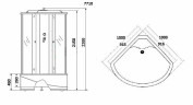 Душевая кабина Niagara Luxe NG-7710G 100x100