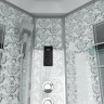 Душевая кабина Niagara Luxe NG-7710W 100x100