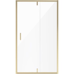 Душевая дверь Niagara Nova 120 NG-43-12AG