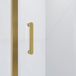 Душевая дверь Niagara Nova 120 NG-43-12AG