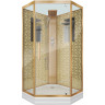 Душевая кабина Niagara Luxe NG-7717GBK 100x100