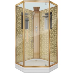 Душевая кабина Niagara Luxe NG-7717GBK 100x100