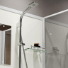 Душевая кабина Niagara Standart 100х100 ST100/15Q/BK
