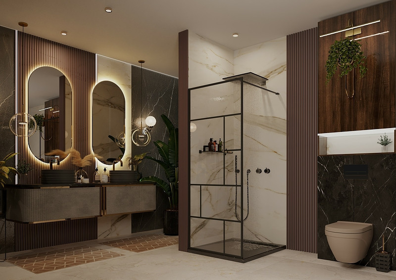 Душевая перегородка Ambassador Walk-in 120х200 15031215