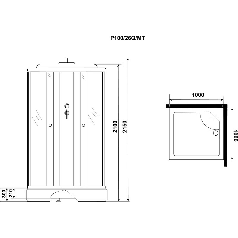 Душевая кабина Niagara Promo 100x100 P100/26Q/MT