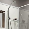Душевая кабина Niagara Standart 90х90 ST90/15Q/BK