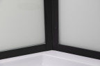 Душевая кабина Niagara Premium 100x100 NG-6902-01GD Black