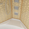 Душевая кабина Niagara Luxe 120x120 NG-7744G